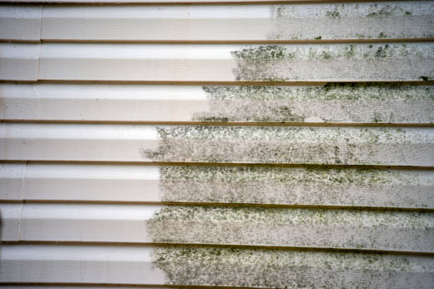 Best Siding Repair  in Crestline, OH