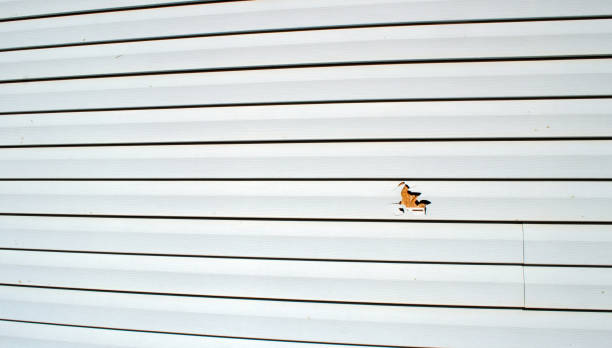 Best Wood Siding Installation  in Crestline, OH